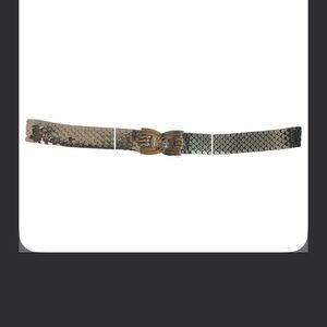 VTG Silver Paille Scale Belt: Maximalist Metal Mayhem Sm-Med